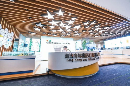 深圳 四十載風華織就城市文化底蘊，經(jīng)紀人服務賦能藝術(shù)新生態(tài)